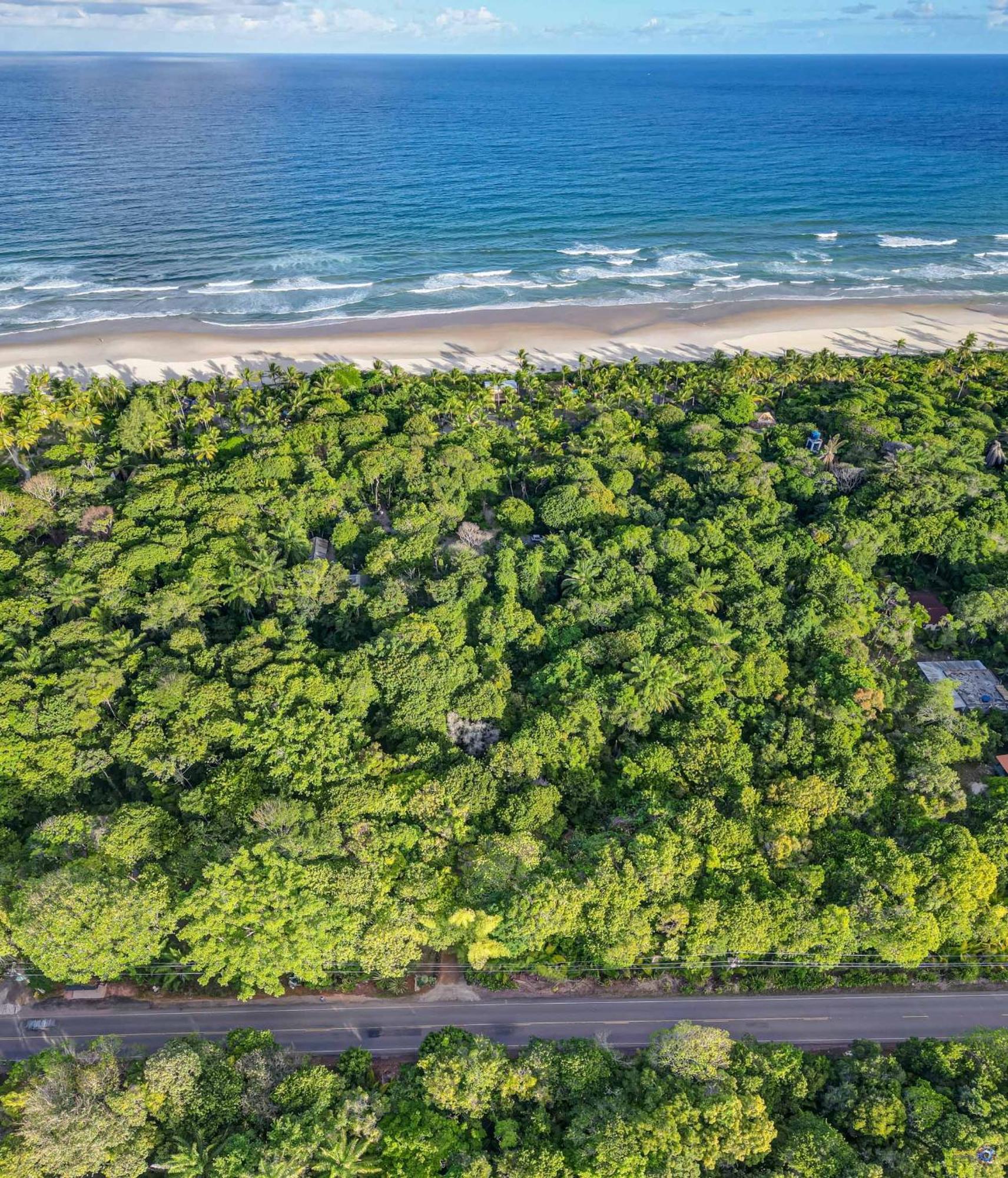 Aldeia Da Mata Ecolodge Serra Grande  Eksteriør billede